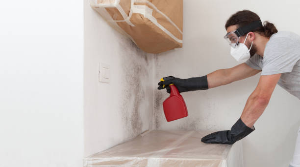 Professional Bathroom Mold Removal technician working in Spotswood, NJ
